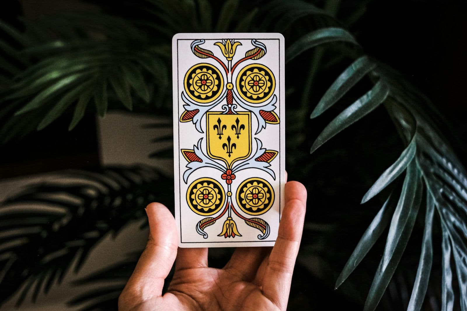 Yeşil yaprakların önünde elde tutulan tek bir tarot kartı