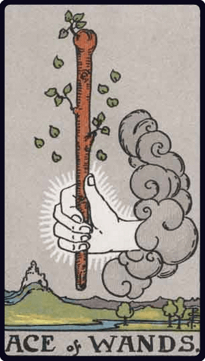 Asa Ası (Ace of Wands) tarot kartı görseli